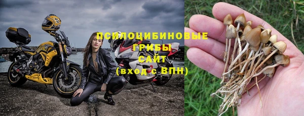 прущая мука Верхний Тагил