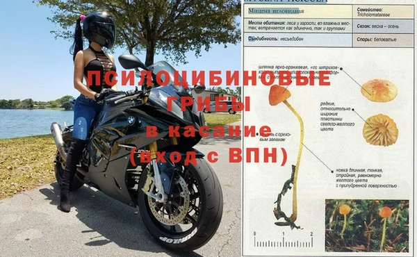 прущая мука Верхний Тагил